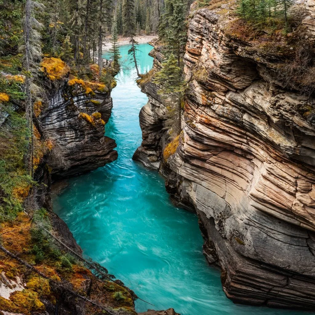 Athabasca Falls