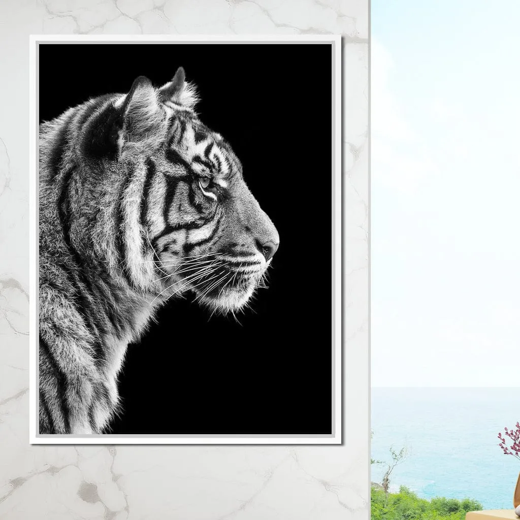 Black and White Sumatran Tiger