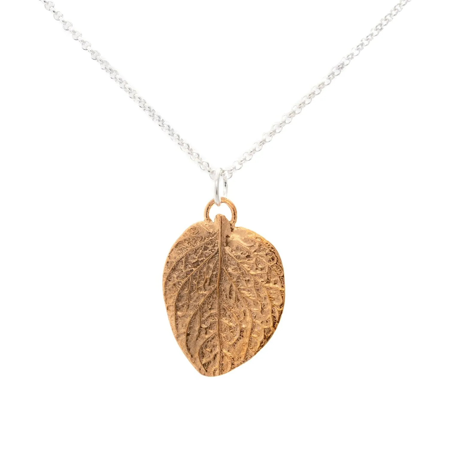 Oregano Pendant | Large